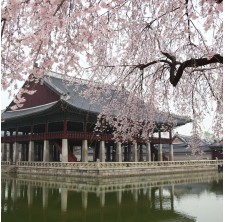 Journée Zen au coeur du Japon en solo - formules-journees