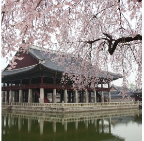 Journée Zen au coeur du Japon en solo Spa Domaine Tour Emeraude Caen