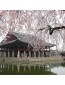 Journée Zen au coeur du Japon en solo Spa Domaine Tour Emeraude Caen