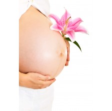 Escale Futur Maman Solo