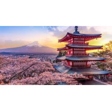 Voyage au Japon en Solo