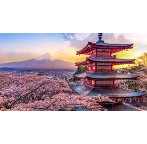 voyage solo japon