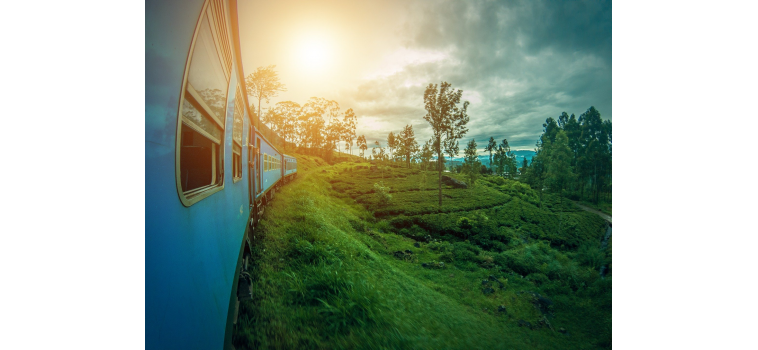 Le Voyage au Sri Lanka